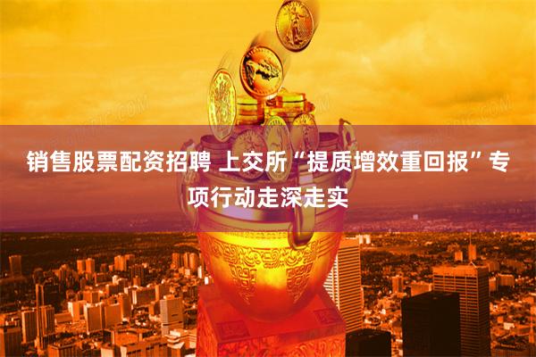 销售股票配资招聘 上交所“提质增效重回报”专项行动走深走实
