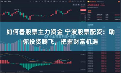 如何看股票主力资金 宁波股票配资：助你投资腾飞，把握财富机遇