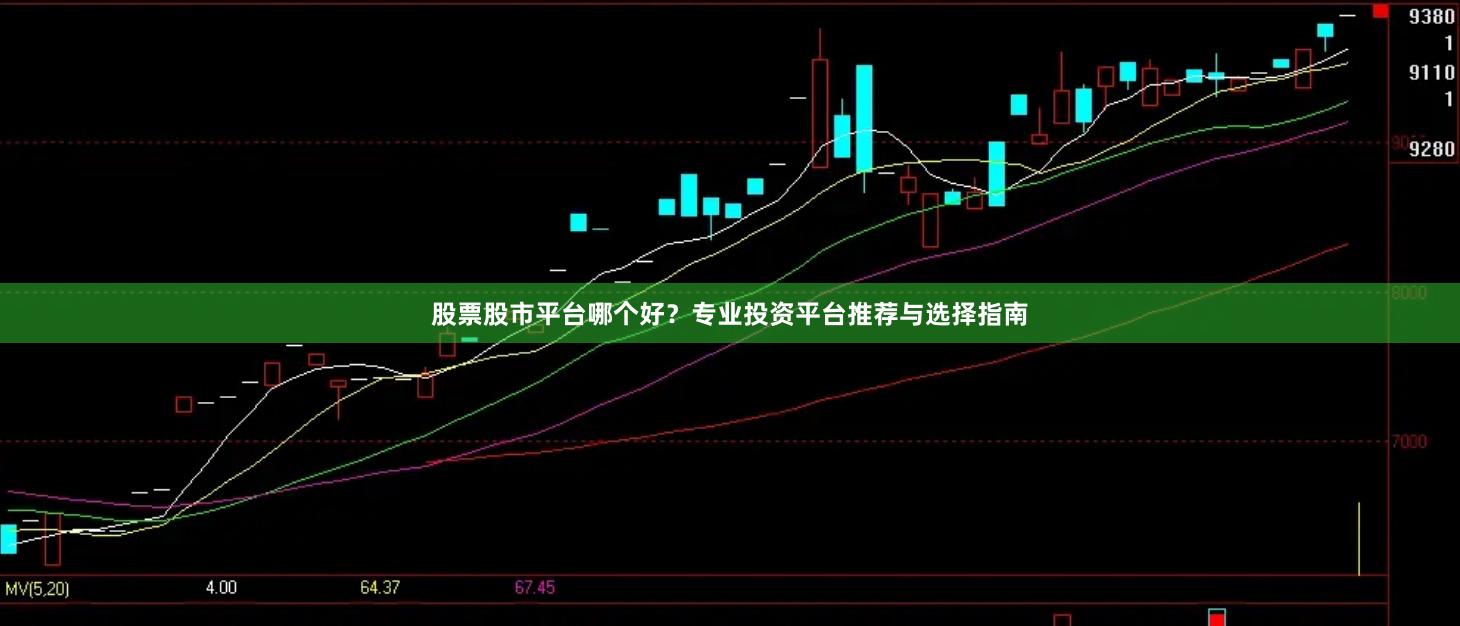 股票股市平台哪个好？专业投资平台推荐与选择指南